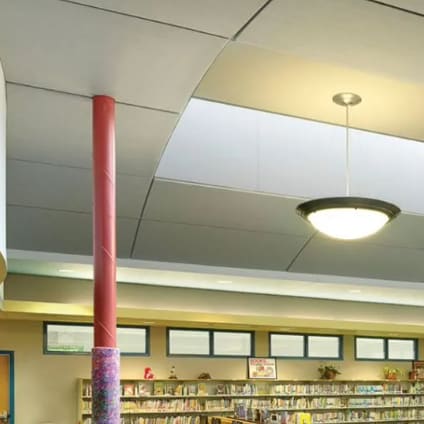ANC 3010