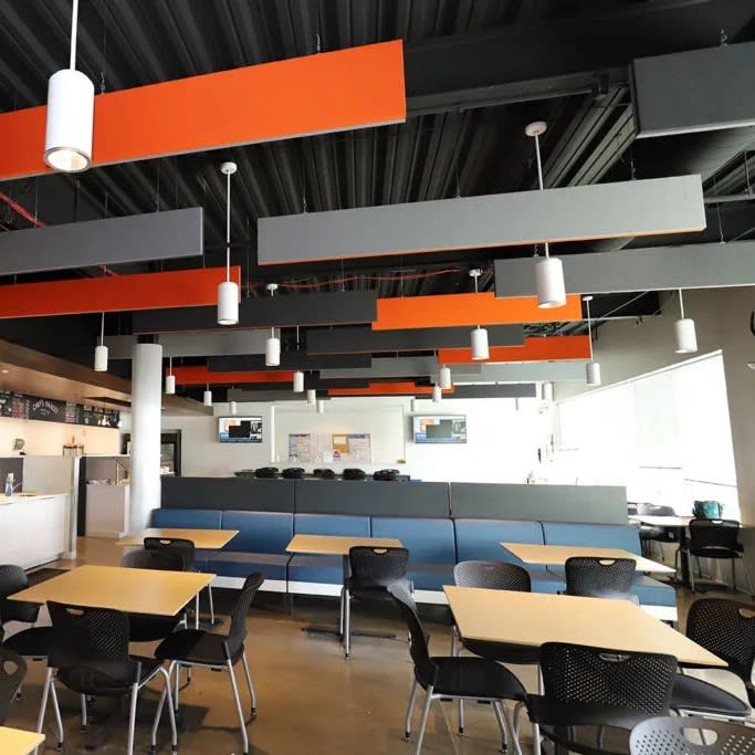 ANC 600 Ceiling Baffles