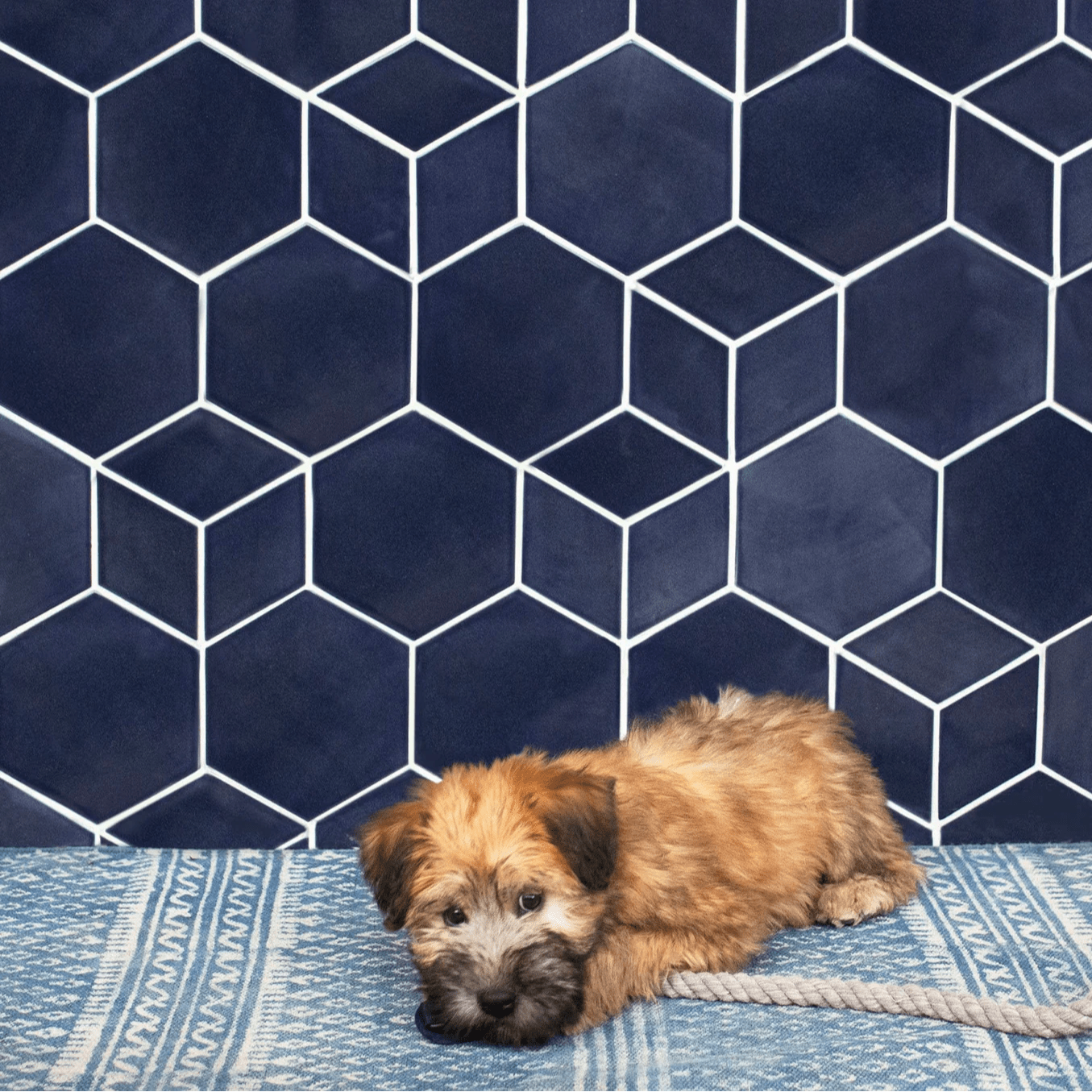 Geo-Hex