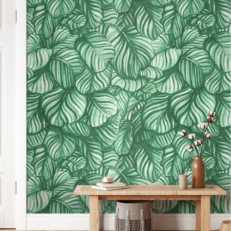 Arnette Calathea