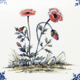 Meadow Flowers