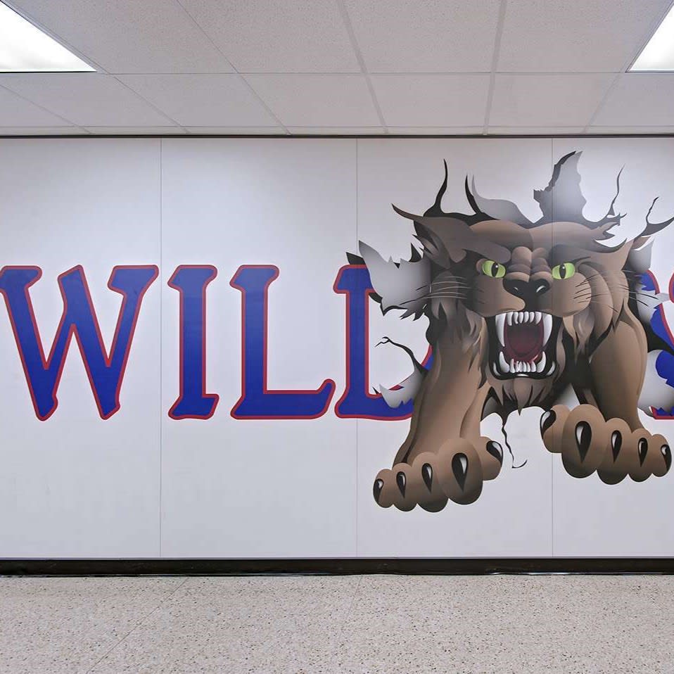 Custom Graphic laminates