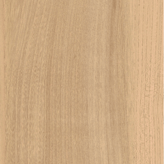 Elm