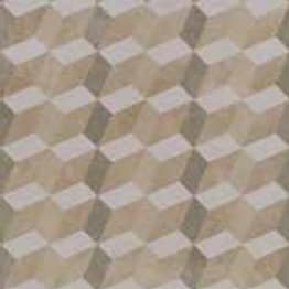 Attitude Geometric