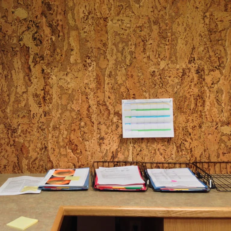 Cork Board
