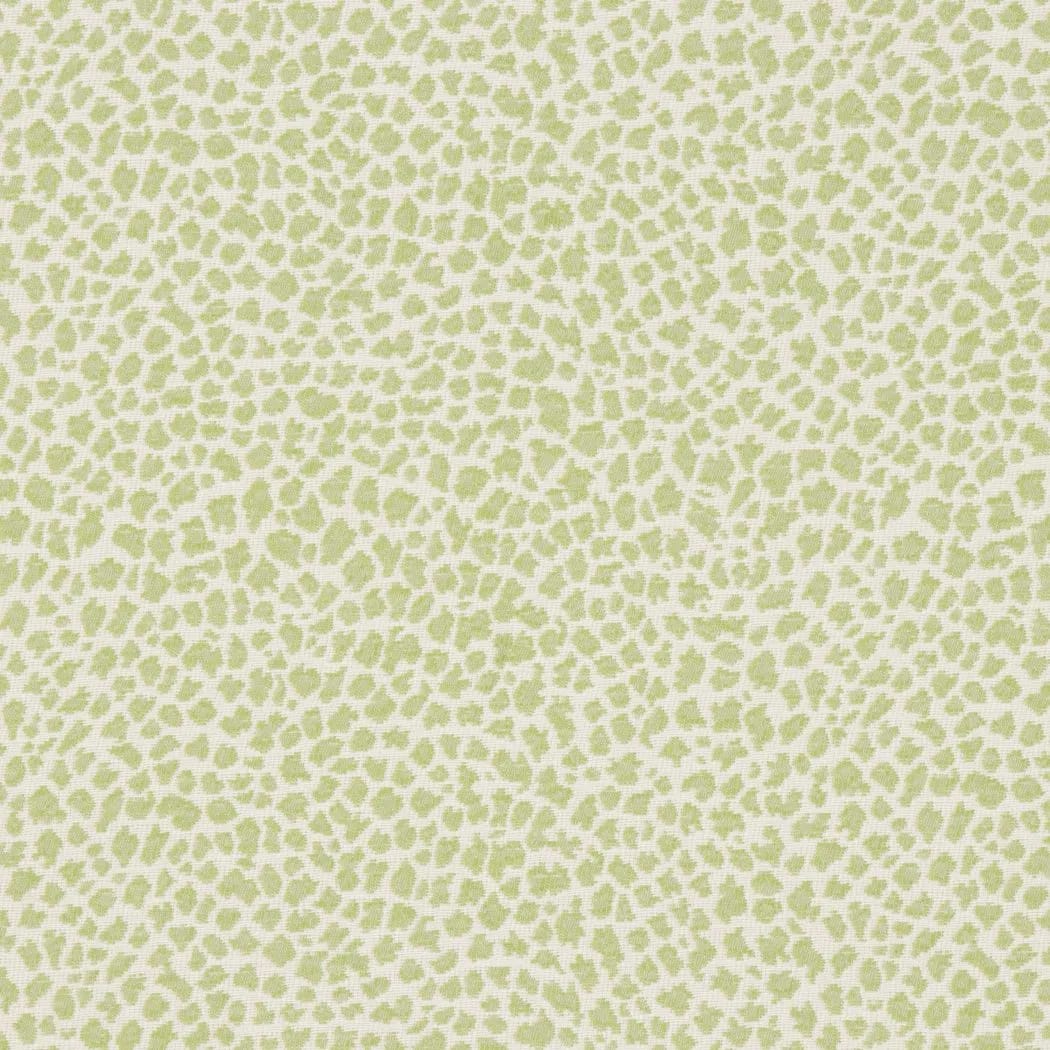 Wall Covering