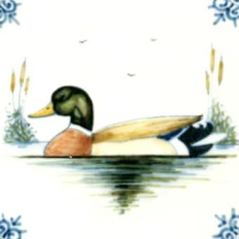 Ducks