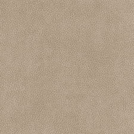 Calm Leather