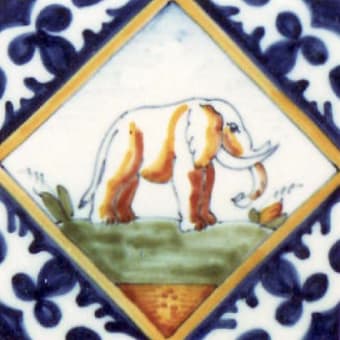 Animals In Square