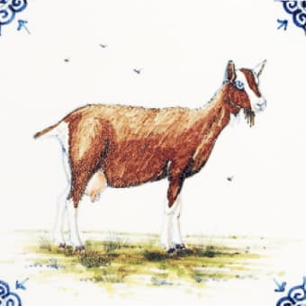 Domestic Animals