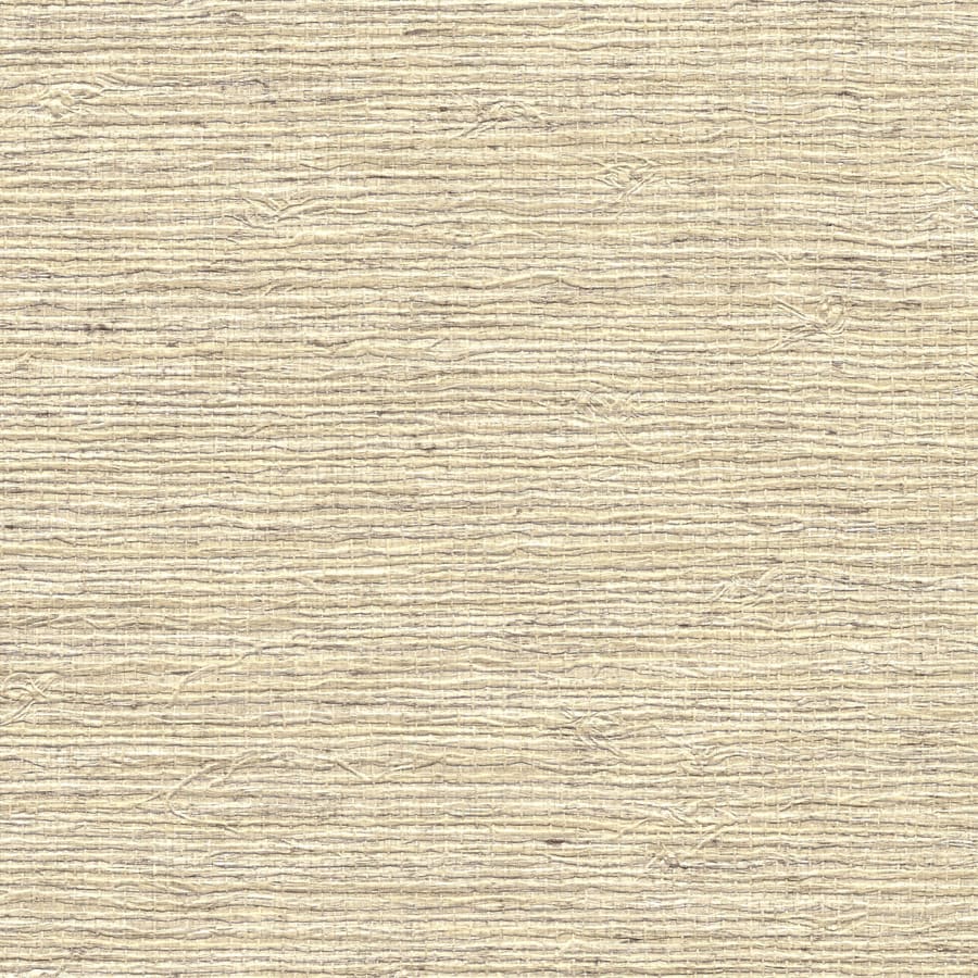 Arrowroot