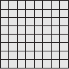 Evolution Mosaic