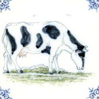 Farm Animals
