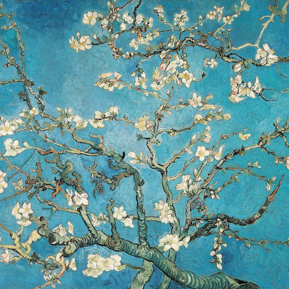 Almond Blossom