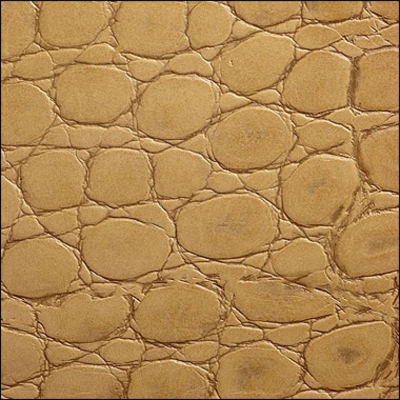 Crocodile Antique Very Natural 