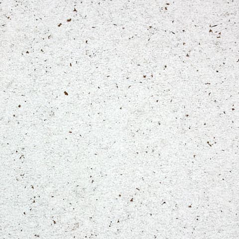 Beach Themed Wall Tiles