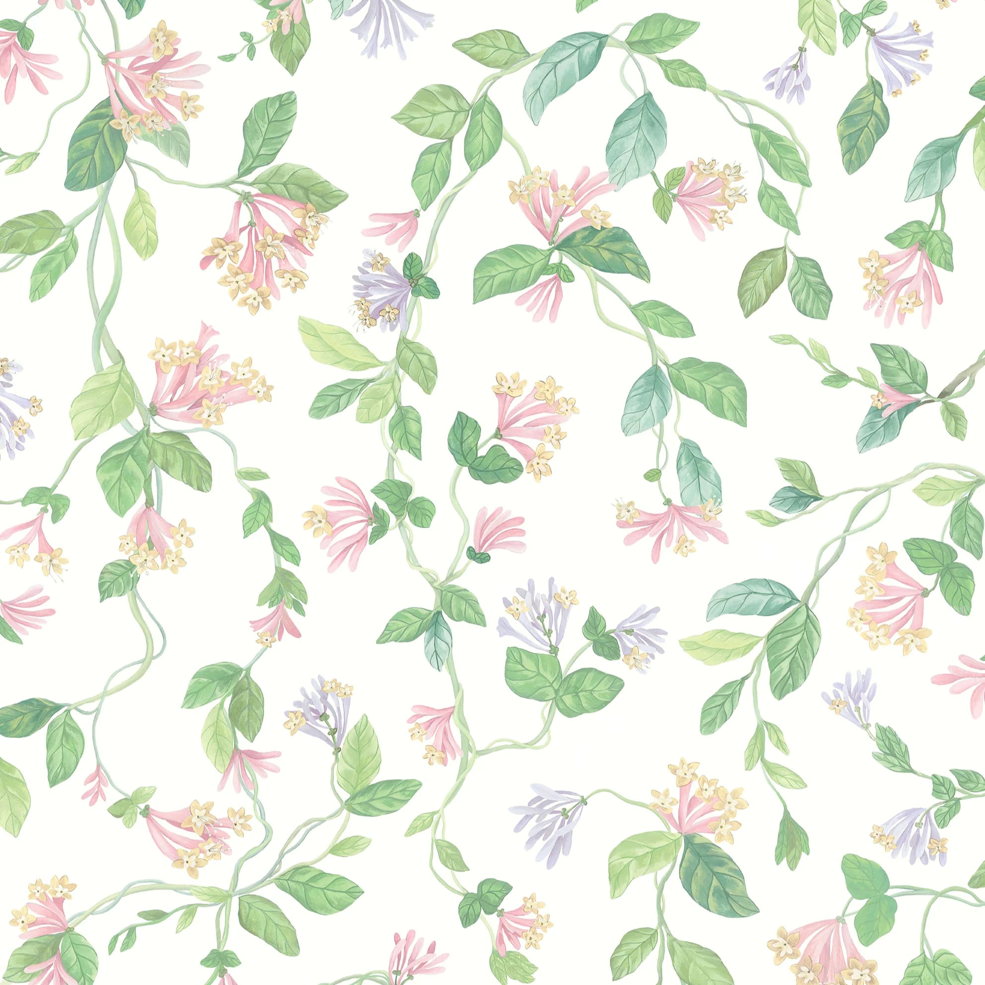 Flora