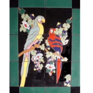CB105 Valentino Parrots