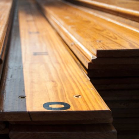 Grandstand Pine