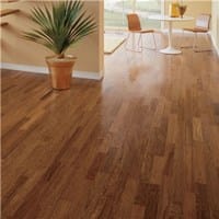 Brazilian Chestnut
