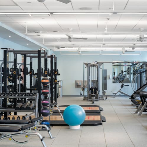 ECOmax for Fitness