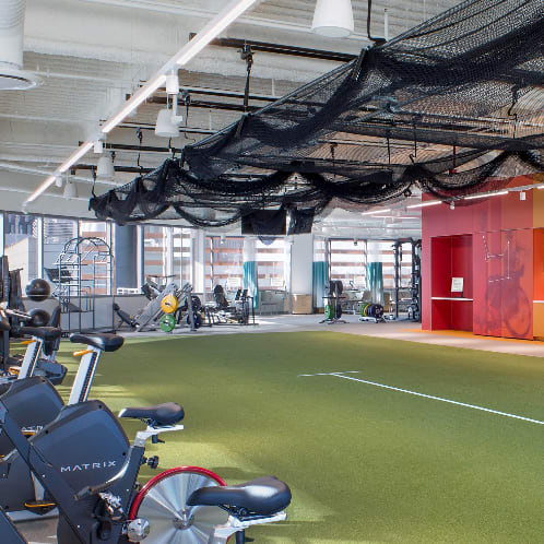 ECOfit-Turf