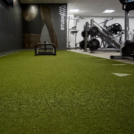 ECOfit-Turf Plus