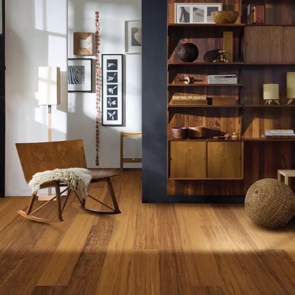 Xcora Chestnut