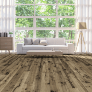 Allegra North American Maple