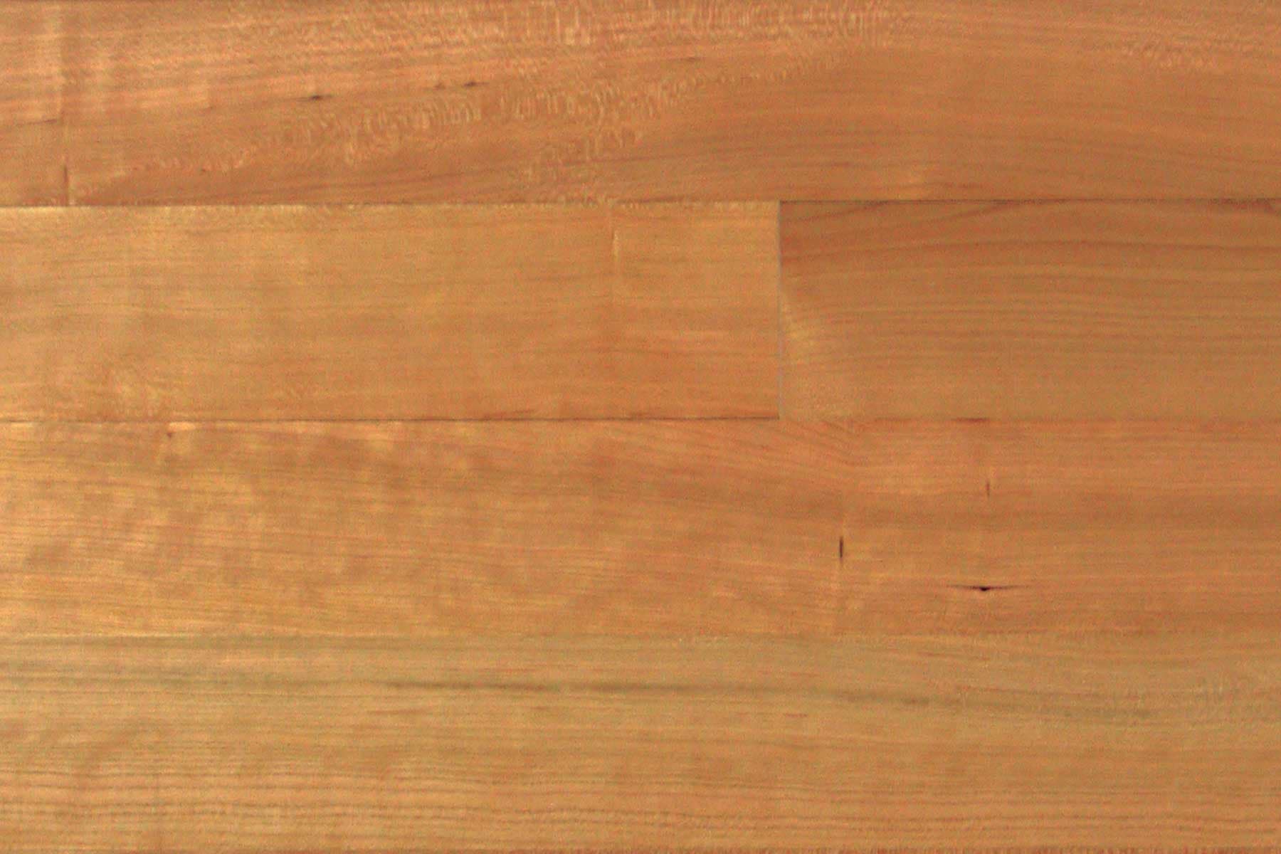 American Cherry