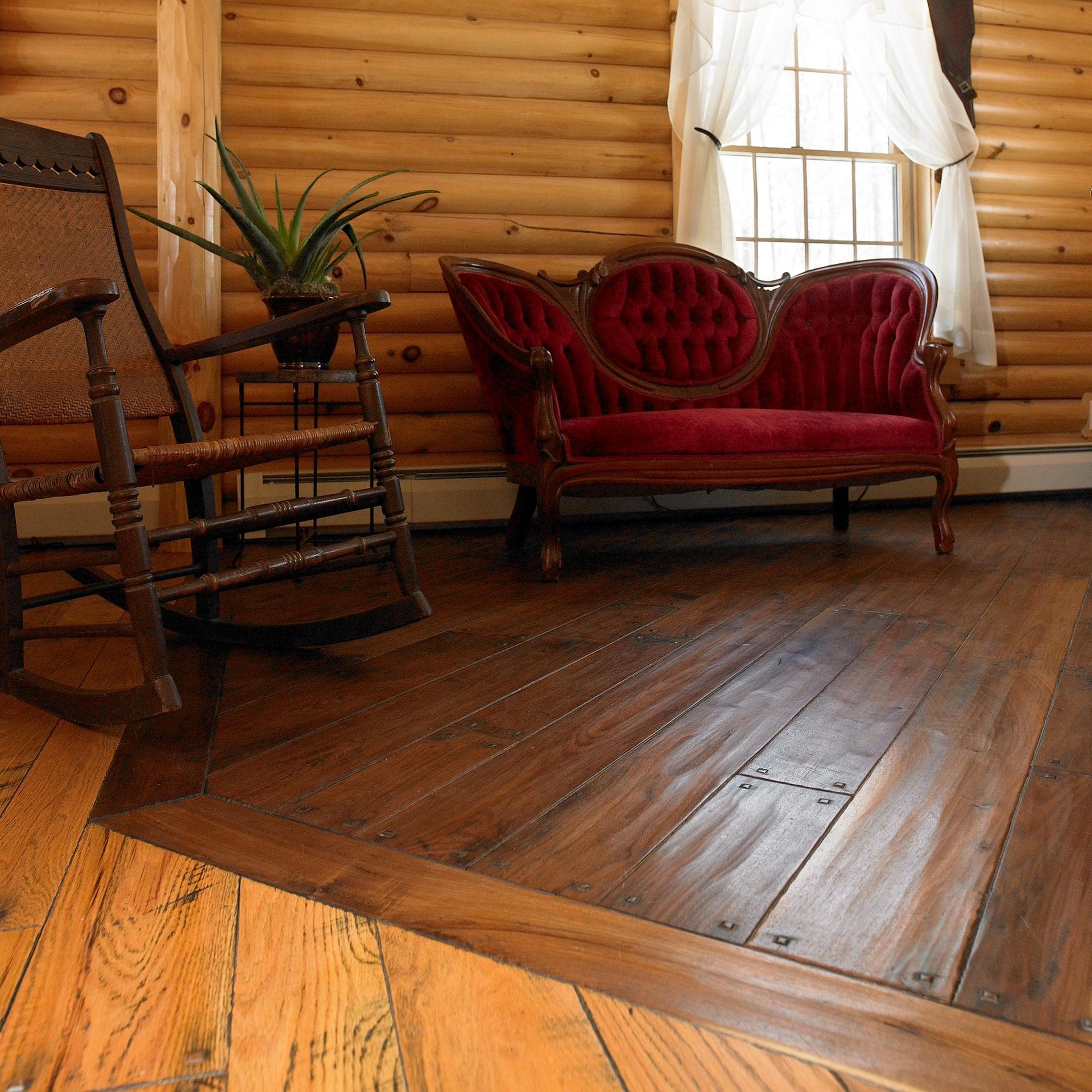 Walnut