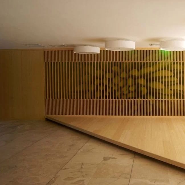 Traditional Bamboo