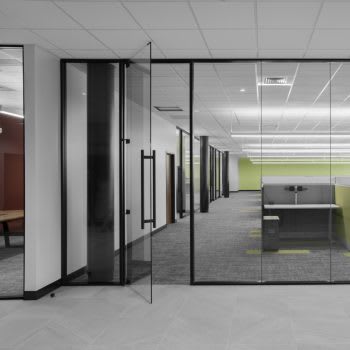 Frameless Swinging Door
