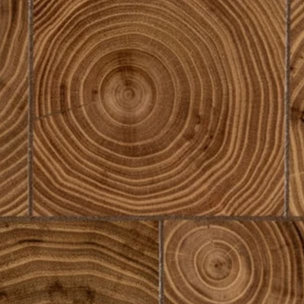 Black Locust