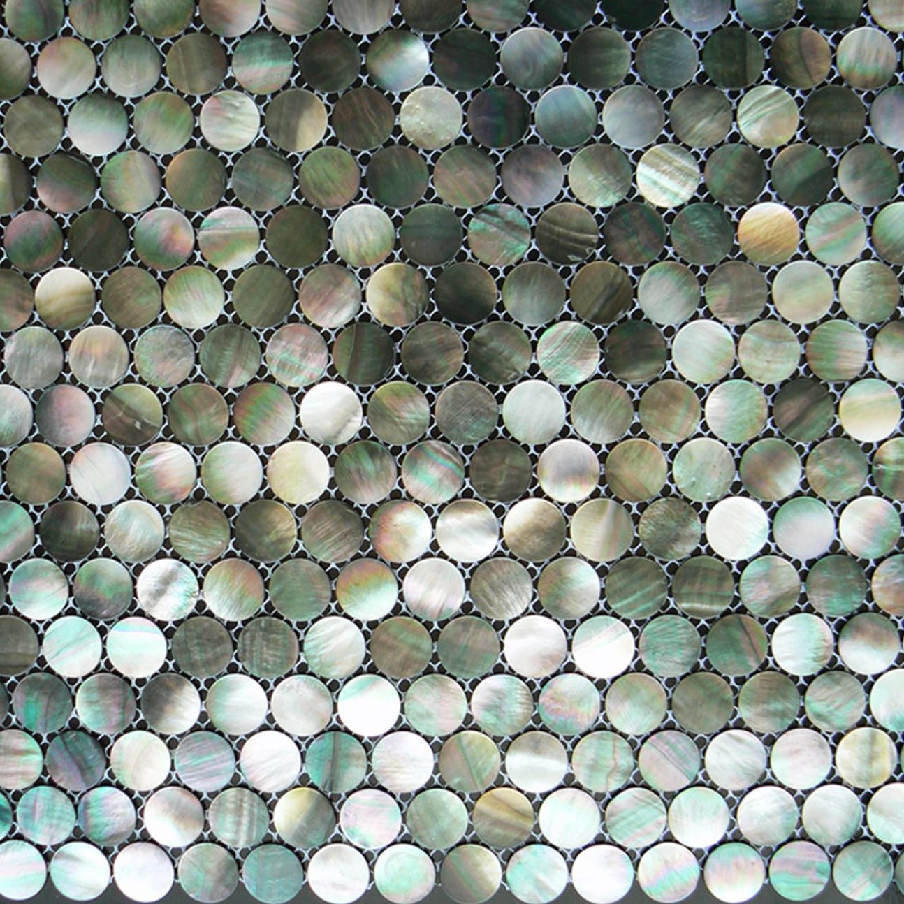 Penny Round Shell Mosaic