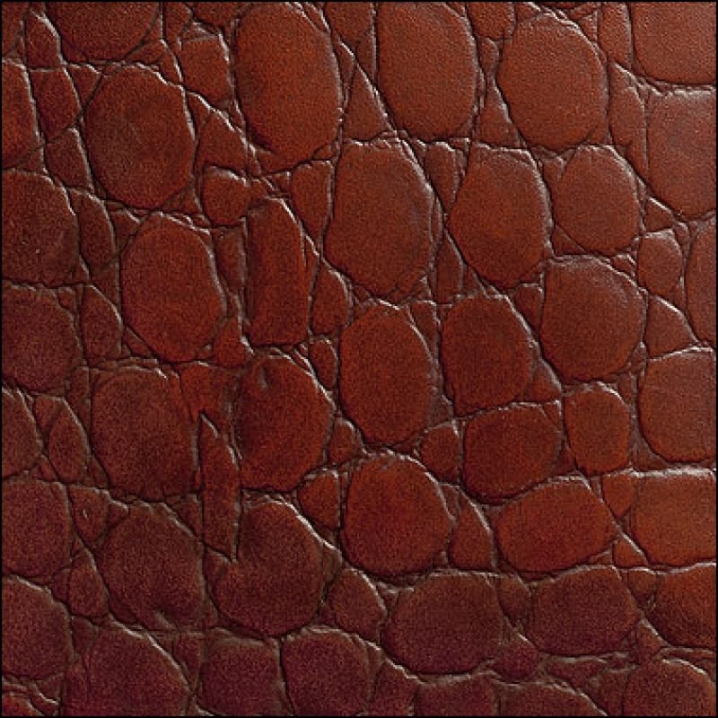 Crocodile Antique Very Natural
