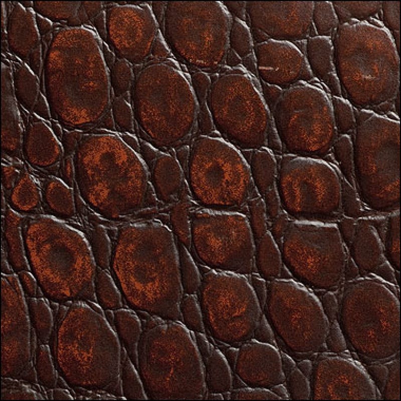 Crocodile Antique Very Natural