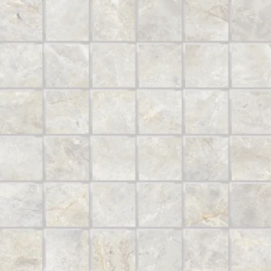Amazon Mosaic