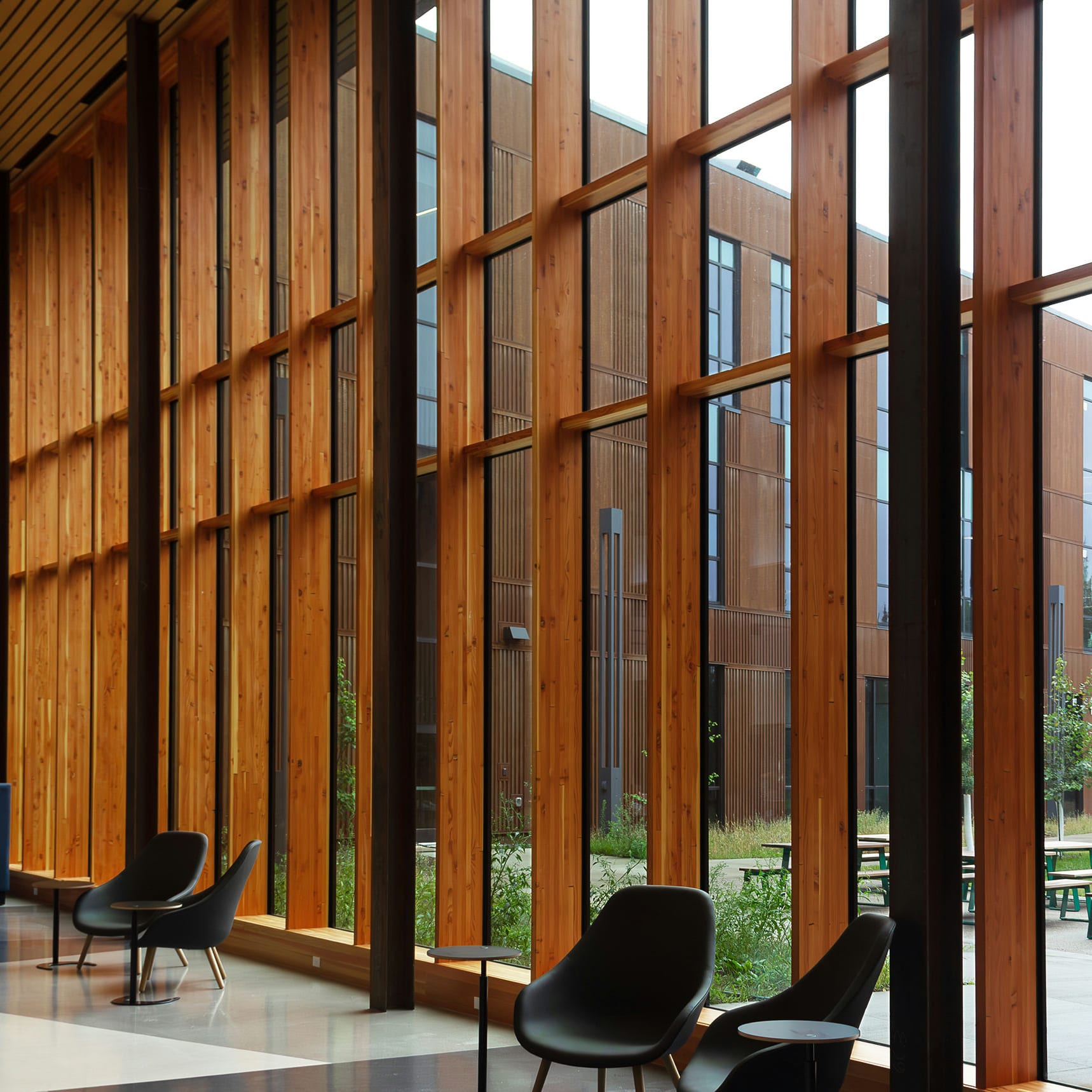 Timber Curtain Wall
