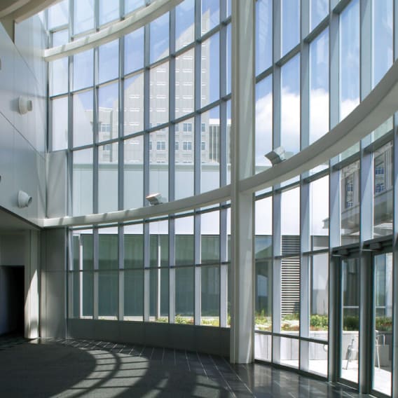 Curtain Wall