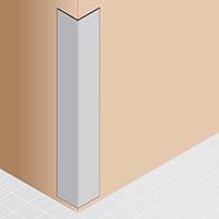 CG