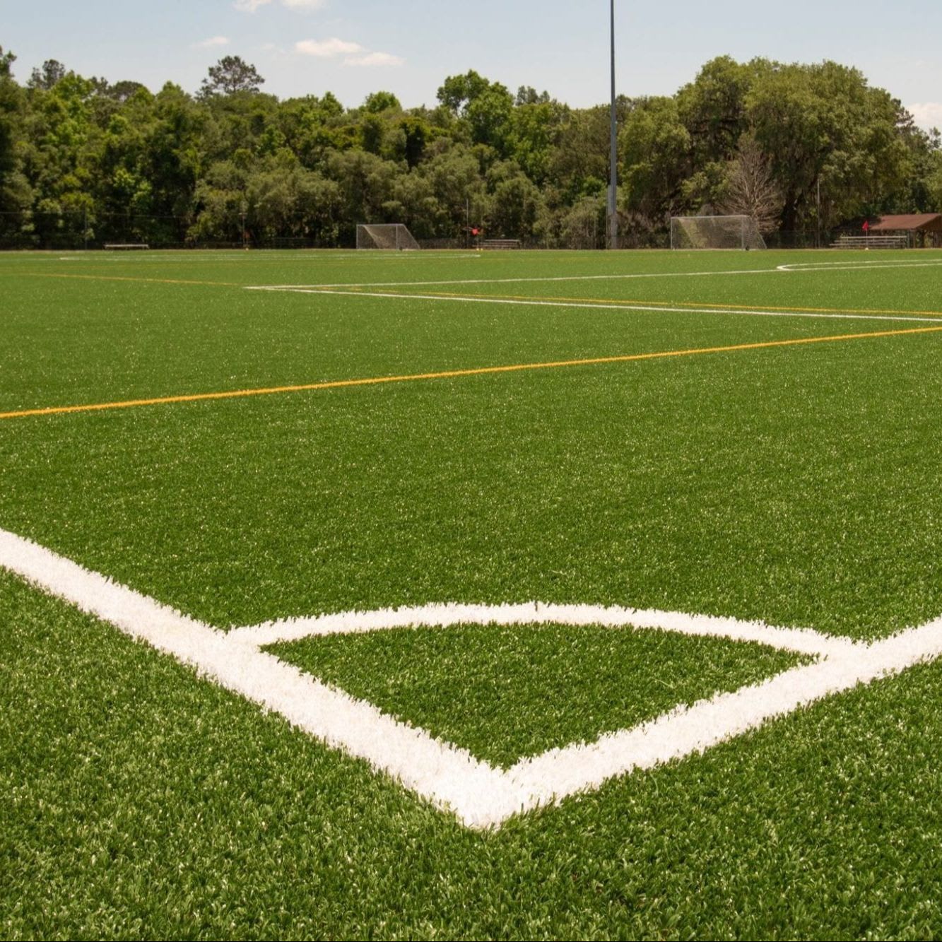 SportsGrass