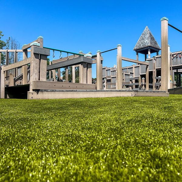 Playground Grass
