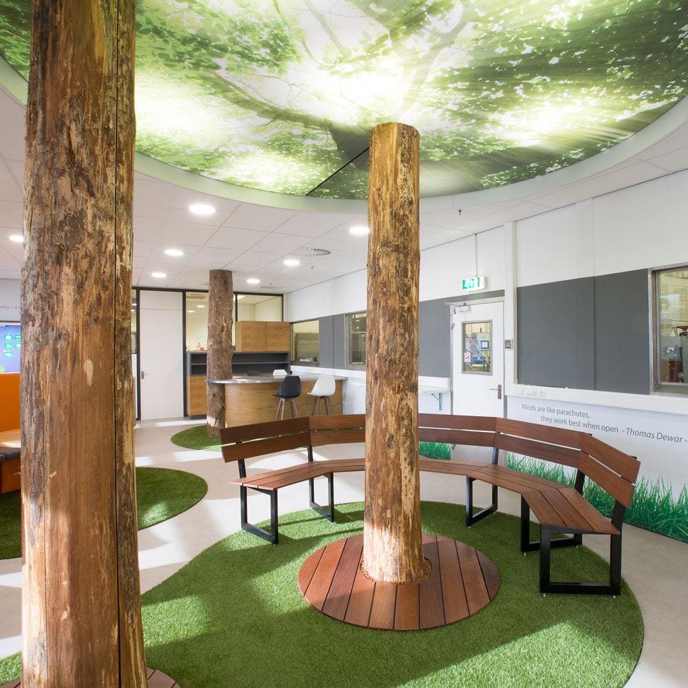 Printed Ceilings