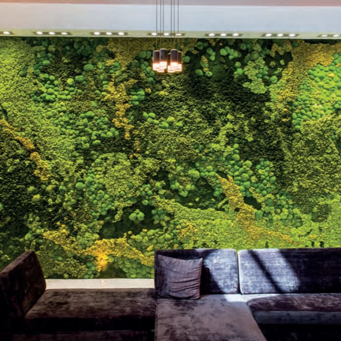 Preserved Moss Walls