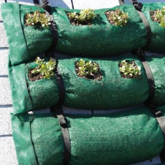Steep Green Paks