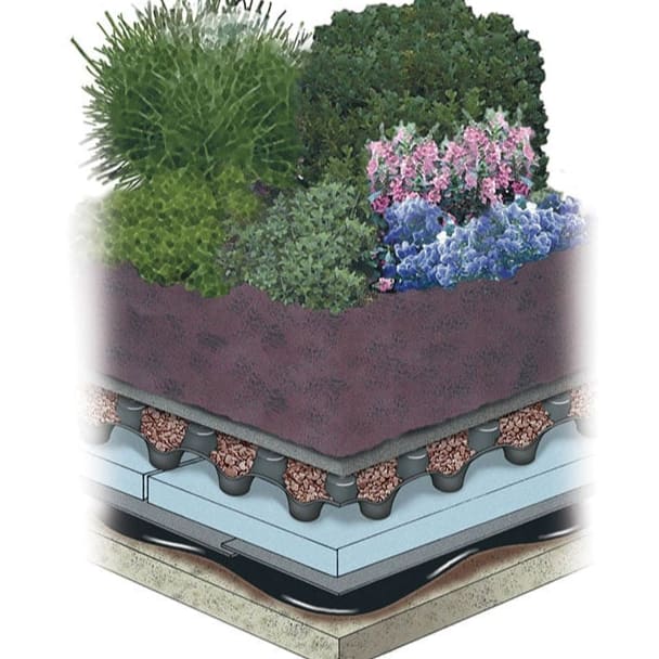 Intensive Garden Roof