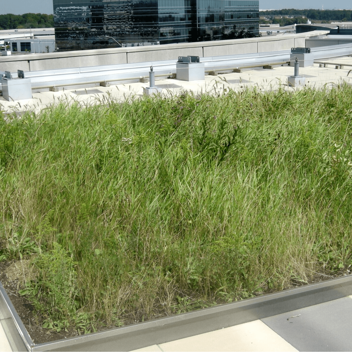 Eco-Module