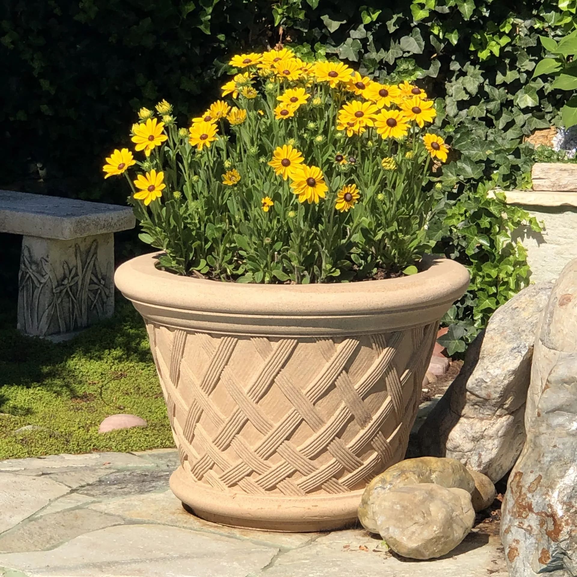 Planters