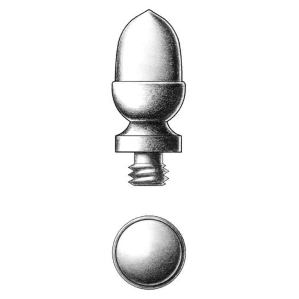 Acorn